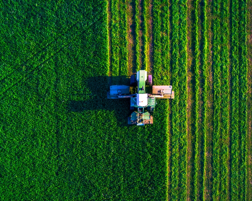 A tractor in a farm field.